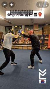 스파링 훈련에 사용되는 16온스 복싱 글러브