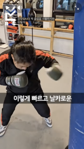 샌드백 훈련에 사용되는 12온스 복싱 글러브